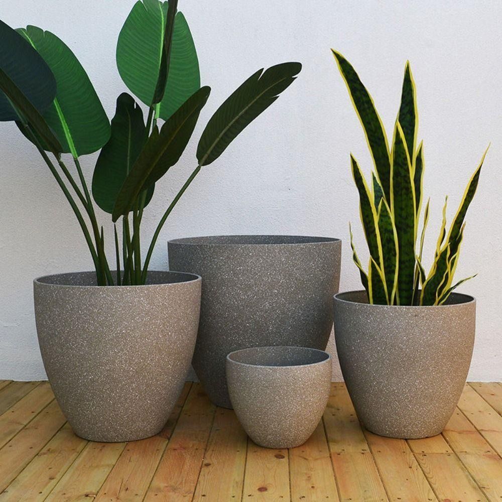 Aloe Vera Pot - Vaso de flores de pedra de