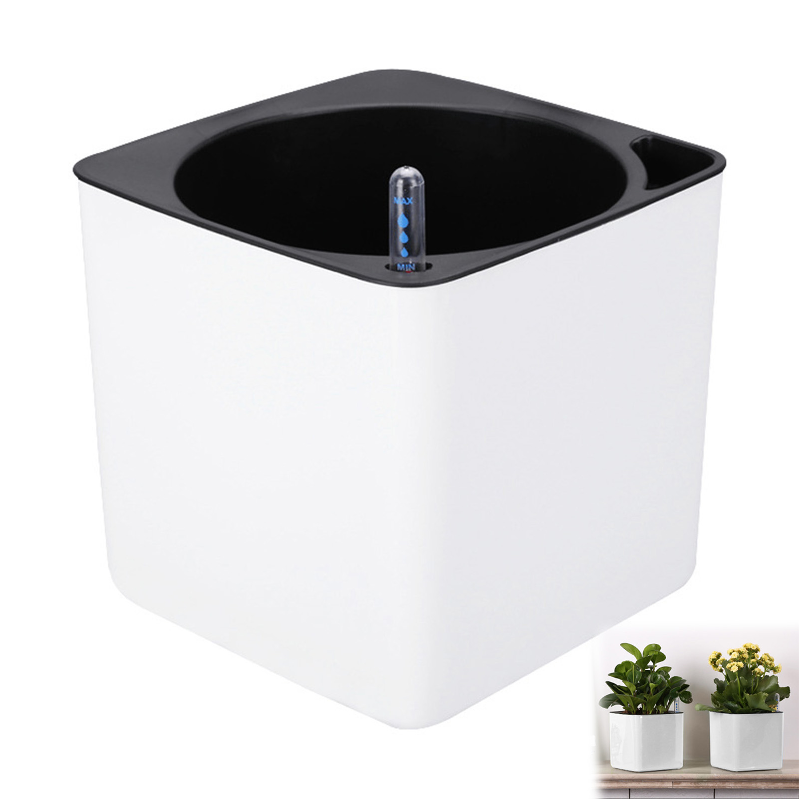 Aloe Vera Pot - Vaso de plantas de flores com