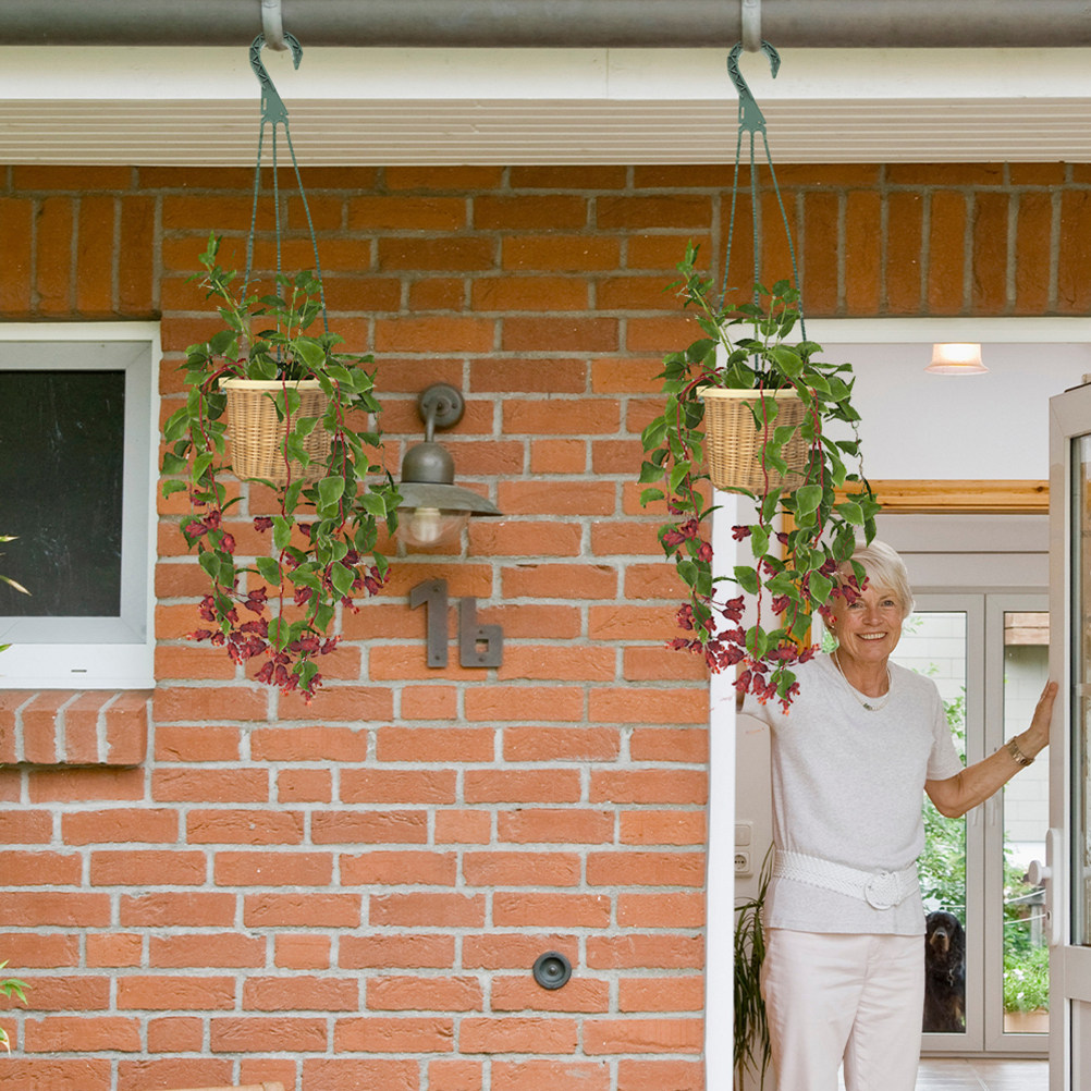 Conjunto de 5 Ganchos para Pla - Spider Plant Hanging avaliação e preço