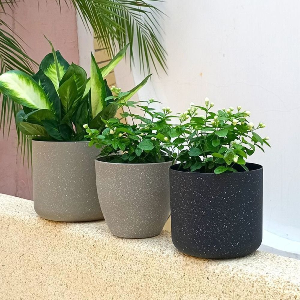 Vasos de flores de pedra de im - Aloe Vera Pot avaliação e preço
