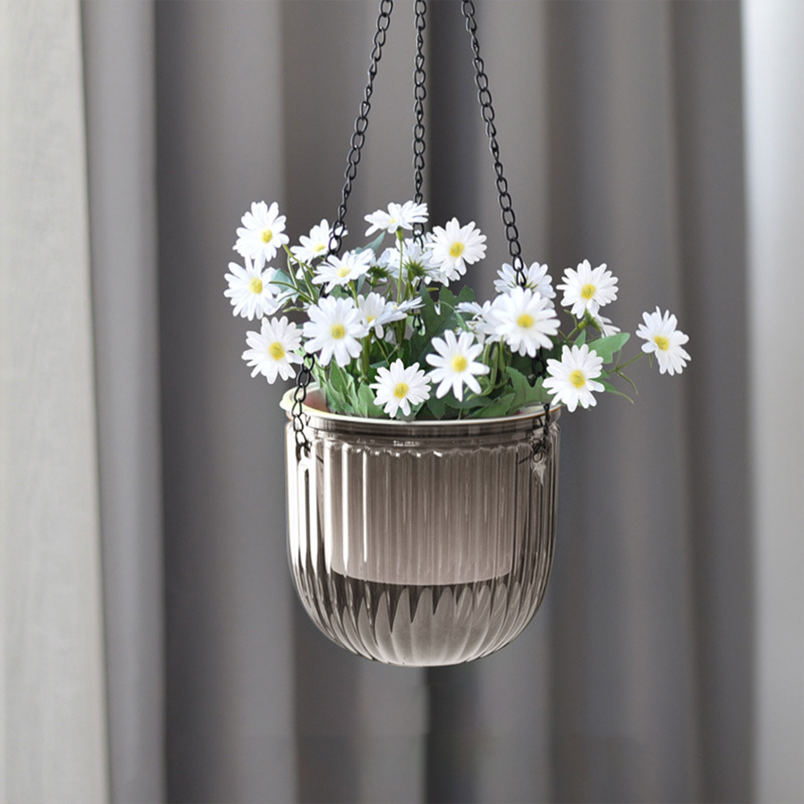Vasos de plantas com irrigação - Spider Plant Hanging avaliação e preço