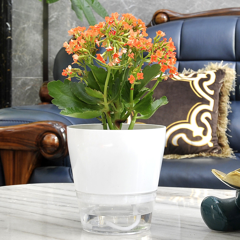 Flor preguiçosa com furo de dr - Aloe Vera Pot avaliação e preço