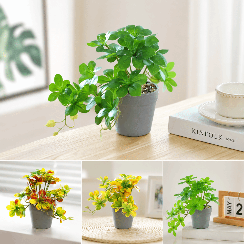 Bonsai Artificial, Planta Arti - Spider Plant Hanging avaliação e preço