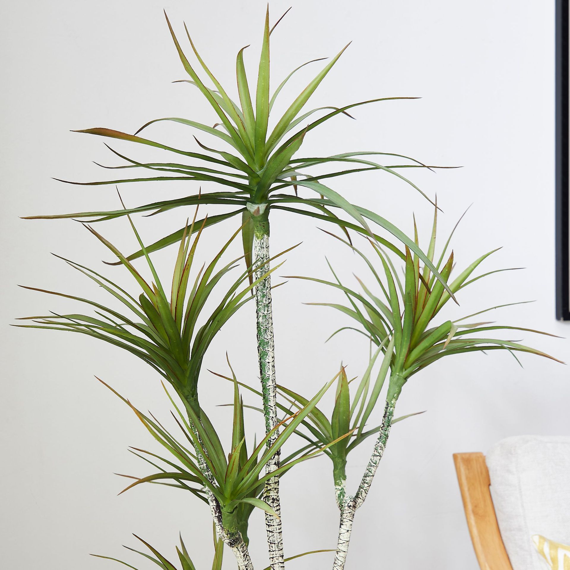 Plástico artificial em vaso ​  - Dracaena Marginata avaliação e preço