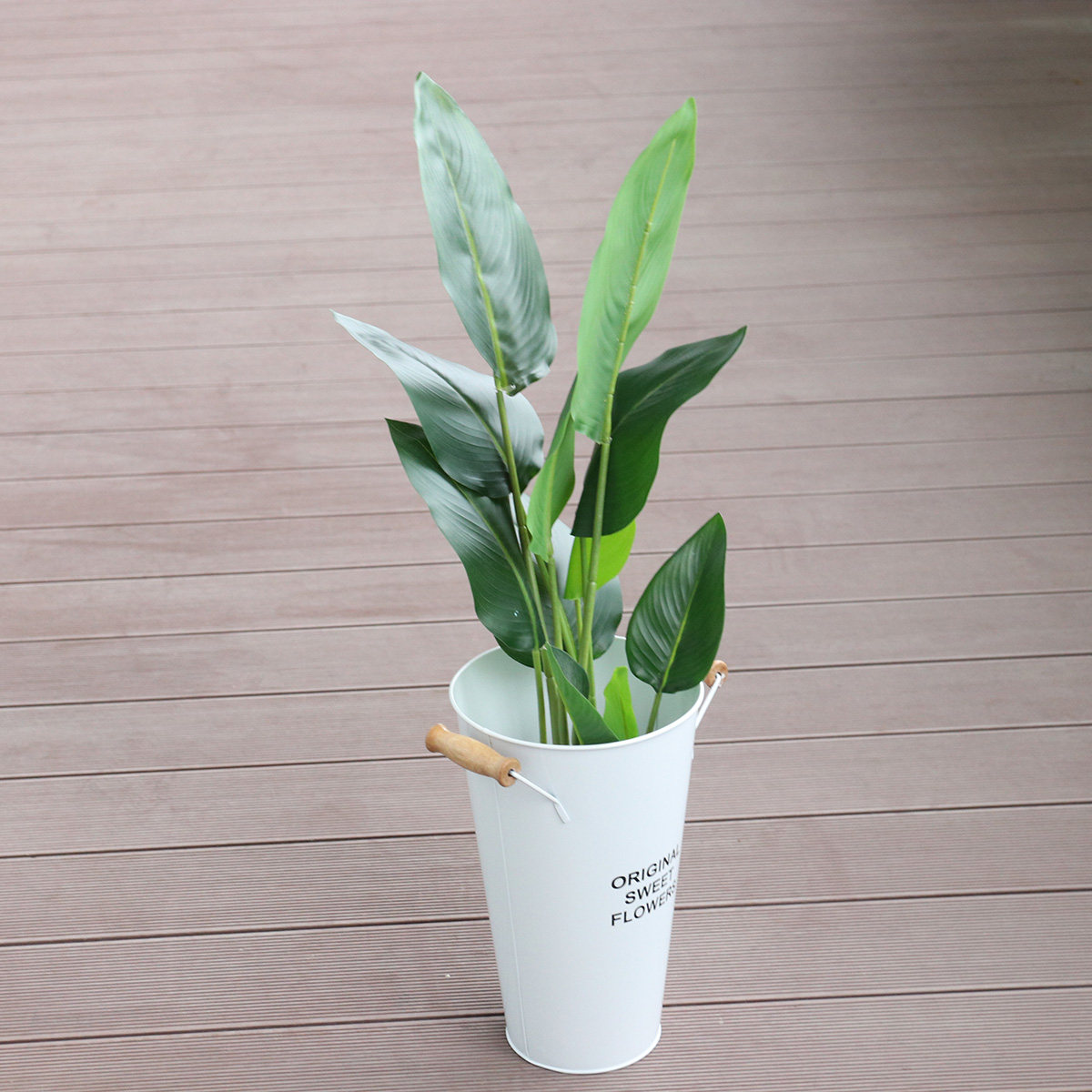 Vaso de Ferro Forjado para Flo - Aloe Vera Pot avaliação e preço